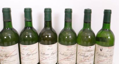 null LOT 10 BTES "CHÂTEAU SIGOGNAC" MEDOC BLANC 1990

Niveaux légèrement bas et mi...