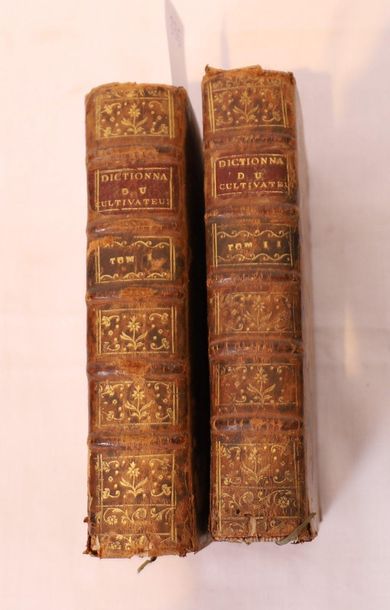 null L’AGRONOME, DICTIONNAIRE PORTATIF DU CULTIVATEUR, PARIS 1763.

2 vol. reliés...