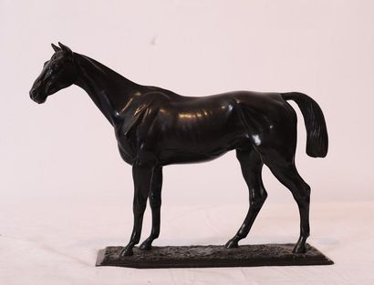 null BRONZE ANIMAL BRONZE "LONG-HAIRED RACEHORSE" BY HENRI KIESEWALTER (1854-?)

19th...