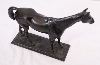 null BRONZE ANIMAL BRONZE "LONG-HAIRED RACEHORSE" BY HENRI KIESEWALTER (1854-?)

19th...