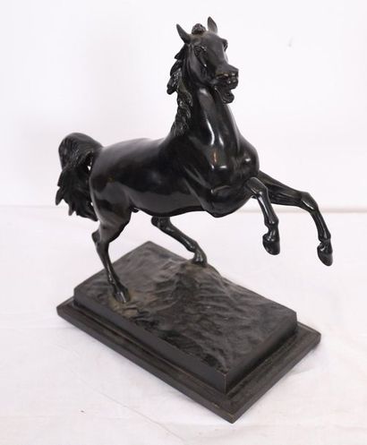 null BRONZE ANIMALIER "GRAND CHEVAL CABRE" DE ALBERT WOLFF" (1814-1892)

Sculpture...