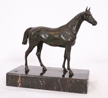 null ANIMAL BRONZE "THOROUGHBRED HORSE AT REST" 

Old bronze sculpture with brown...
