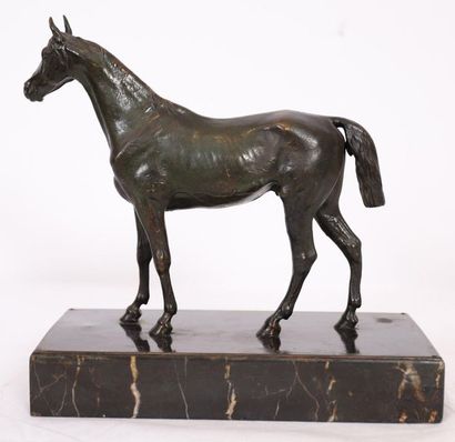null ANIMAL BRONZE "THOROUGHBRED HORSE AT REST" 

Old bronze sculpture with brown...
