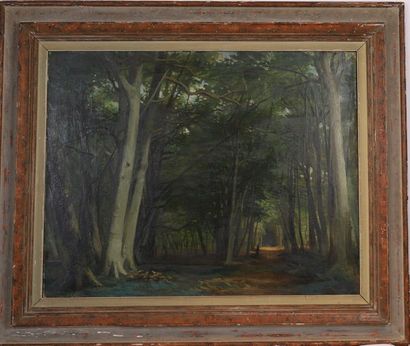 null TRES GRAND TABLEAU "ALLEE EN FÔRET" DE Roger CHAPLIN-MIDY (1904-1992)

Huile...