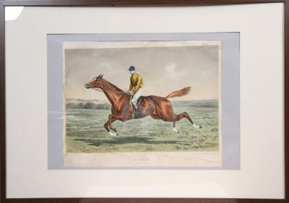 null GRANDE LITHOGRAPHIE "CHEVAL RUEIL MONTE PAR TIANE"

Lithographie couleurs, légendée,...