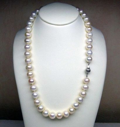 null A very nice and important necklace of natural cultured pearls diameter 9.5 mm...