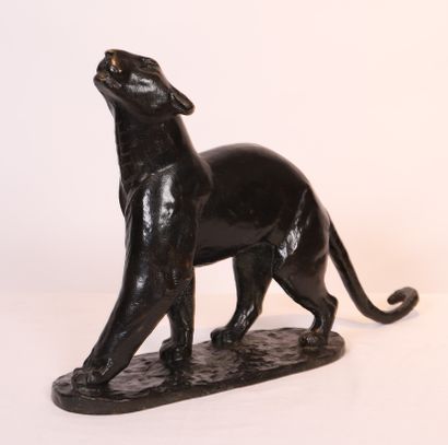 Georges Lucien GUYOT SUPERB ANIMAL BRONZE "LIONNE TÊTE LEVEE" by Georges Lucien GUYOT...