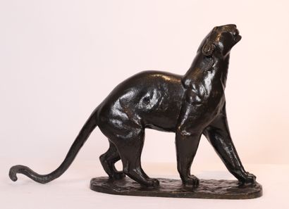 Georges Lucien GUYOT SUPERBE BRONZE ANIMALIER "LIONNE TÊTE LEVEE" DE Georges Lucien...