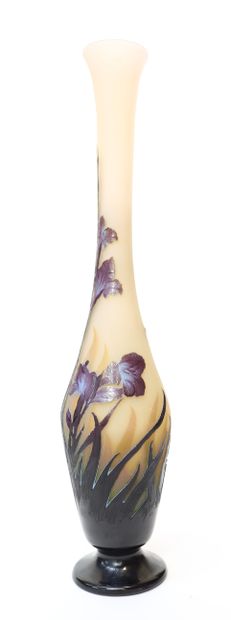 Émile GALLÉ LARGE SOLIFLORE VASE BY Émile GALLÉ (1846-1904)

Multilayered glass vase...