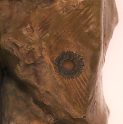 Mathurin MOREAU GRAND BRONZE "L'ECHO" BY Mathurin MOREAU (1822-1912)

Bronze sculpture...