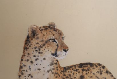 David LEUNG Cute animal painting "THE GUEPARD" by David LEUNG (XXth)

Watercolor...