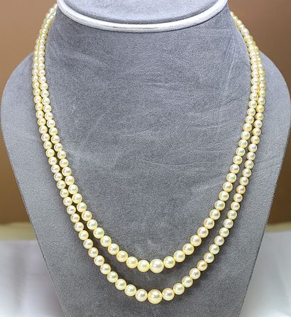 Necklace with two rows of natural cultured...