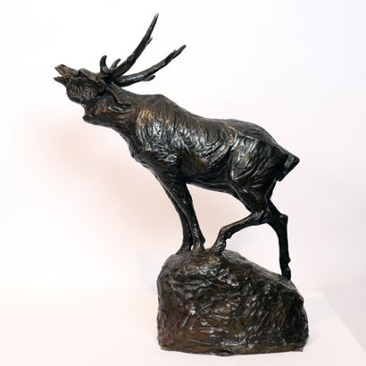 PROST IMPOSANT BRONZE ANIMALIER "LE BRAME DU CERF" de Maurice PROST (1894-1967) 

Sculpture...