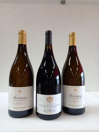 null 3 Btls comprenant :

- 2 Magnums (150cl) Bourgogne. 2017. Montagny blanc. André...