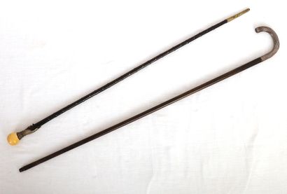 null SET OF TWO ANTIQUE CANES

One in natural wood with a silver knob and ferrule...