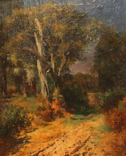 LAURENT GSELL (1860-1944) Paysage de Provence. Huile sur toile signée en bas à droite....