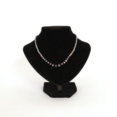 null BLACK PEARL NECKLACE

L : 45,5 cm 

Diam : 5 mm (the biggest pearl)