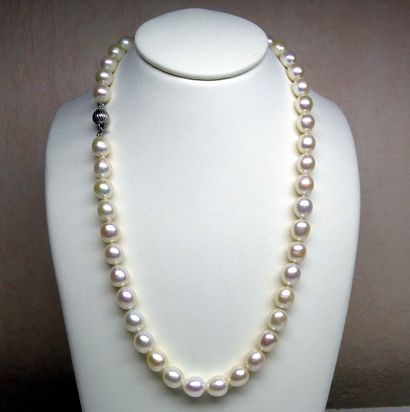 null A very pretty and important necklace of natural cultured pearls of olive shape...