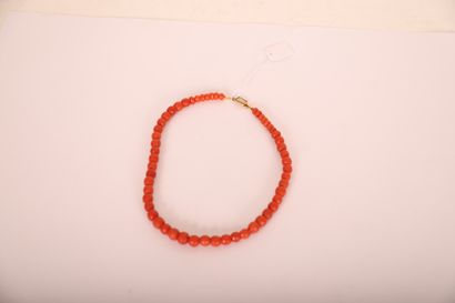 null CORAL BEADS NECKLACE 

Gold plated clasp with a flower motif

L: 35 cm