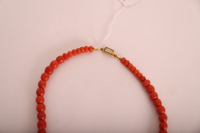 null CORAL BEADS NECKLACE 

Gold plated clasp with a flower motif

L: 35 cm
