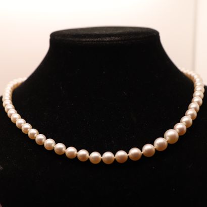 null BEAUTIFUL PEARL NECKLACE, clasp in yellow gold

L : 50 cm

Diam: 8 mm the biggest

Clasp...