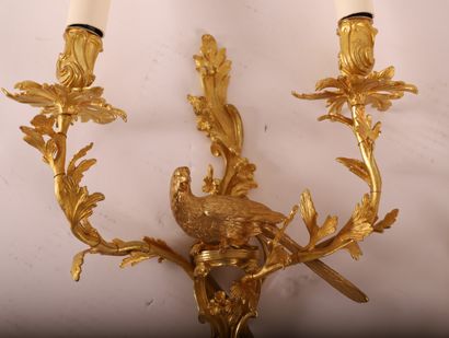 null A PAIR OF BEAUTIFUL GILT BRONZE "PARROT" SCONCES

With two arms of lights surrounding...