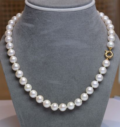 null Very pretty necklace in pearls of culture diameter 10,5 - 11 mm, very beautiful...