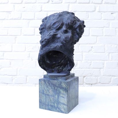 null SCULPTURE "BUSTE DE BEETHOVEN" de Fernand CIAN (c.1886-1954)

Bronze à la cire...