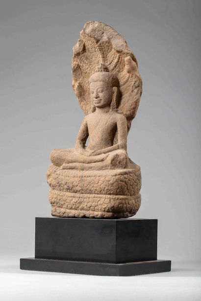 null Buddha Mucilinda assis en méditation virasana sur le corps lové du cobra déployant...