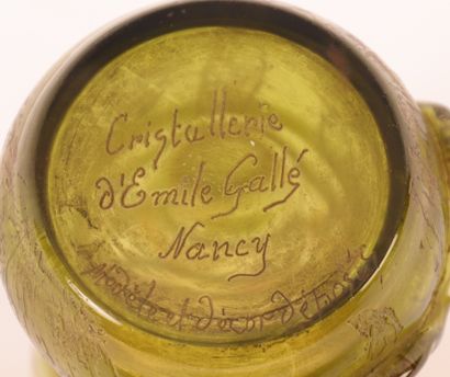 Emile GALLÉ Cristallerie Émile GALLÉ (1846-1904) "Orchidées apifera"

Pichet en verre...