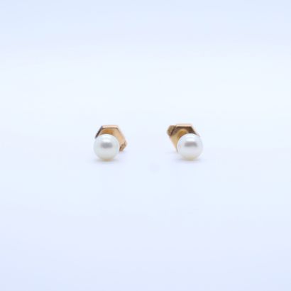 PAIR OF EARRINGS GOLDEN WITH AKOYA PEARLS...
