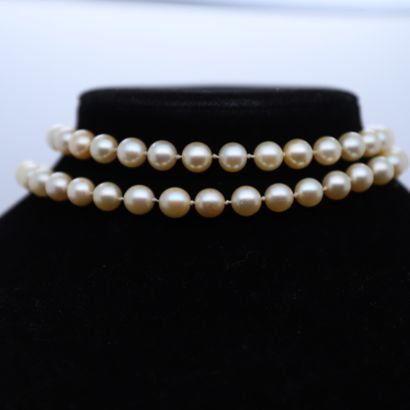 null NECKLACE OF CULTURED PEARLS CHOKER AND SETTING IN YELLOW GOLD 
L : 65 cm
Pb...