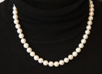 null COLLIER DE PERLES BLANCHES BAROQUE

En perles de 12 mm

L : 49 cm
