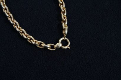 null COLLIER EN OR JAUNE

A maille ovale, en or jaune 18 carats

Poids métal : 62,7...