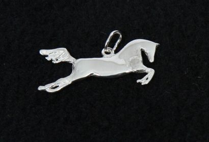 null BIJOU DE SAC "Horse argenté"

Argenté, médaillon D. 4 cm avec cheval pégase...