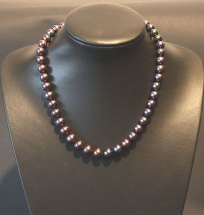 null COLLIER DE PERLES GRISES

Perles de taille 10 mm

L : 49 cm