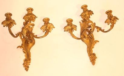 null PAIRE D APPLIQUES LOUIS XV 

En bronze doré, à trois bras de lumière entrelacés...