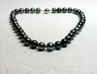 null EXCEPTIONNEL collier en perle de Tahiti multicolore, lustre, orient, régularité...