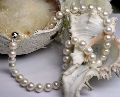 Important collier en perles de culture naturelles...