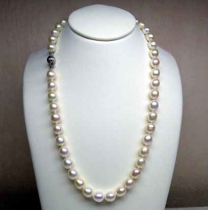 null Un très joli et important collier de perles de culture naturelles diamètre 9,5...