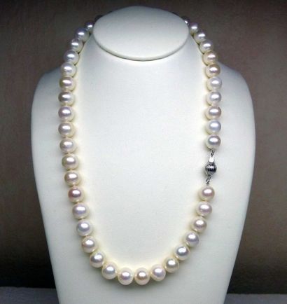 null Un très joli et important collier de perles de culture naturelles diamètre 9,5...