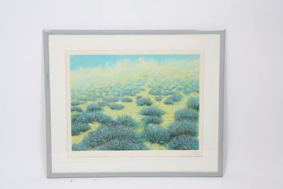 null LITHO. "BRUYERES" DE GALLAIS XXè

Lithographie couleur encadrée sous verre,...