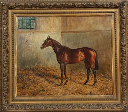 null TABLEAU "PORTRAIT DU CHEVAL ECOUEN 1914" DE ALLEN C. SEALY (1850-1927)

Huile...