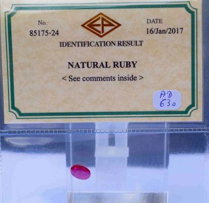 null Sous certificat RUBIS NATUREL ovale de belle couleur probablement Birman d'un...