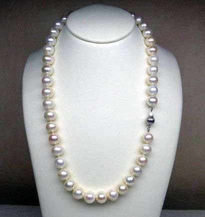 null Un très joli et important COLLIERde perles de culture naturelles diamètre 9,5...