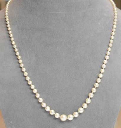 null COLLIER de Perles AKOYA en chute 3,4-7,6 mm couleur blanc crème - fermoir or....