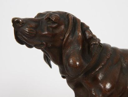 null BRONZE "BASSET A L'ARRET" DE MOIGNIEZ (1835-1894)

Bronze à patine marron, reposant...