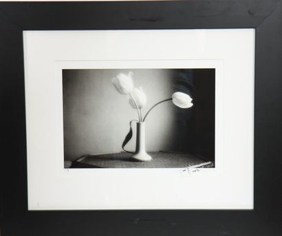 null PHOTOGRAPHIE "TULIPES" DE DAVID HAMILTON (1933-2016)

Tirage en noir et blanc...