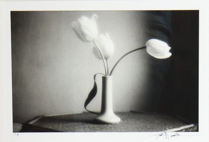 null PHOTOGRAPHIE "TULIPES" DE DAVID HAMILTON (1933-2016)

Tirage en noir et blanc...