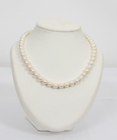 null COLLIER RAS DE COU PERLES BLANCHES

Dimension: 44 cm